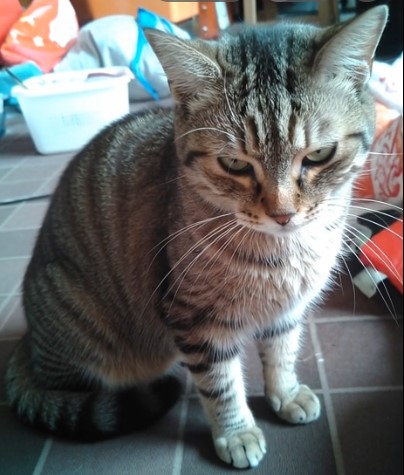 Whisky memorial photo