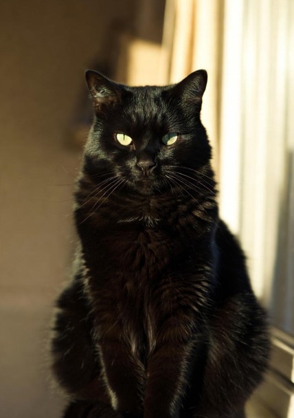Photo of Teo