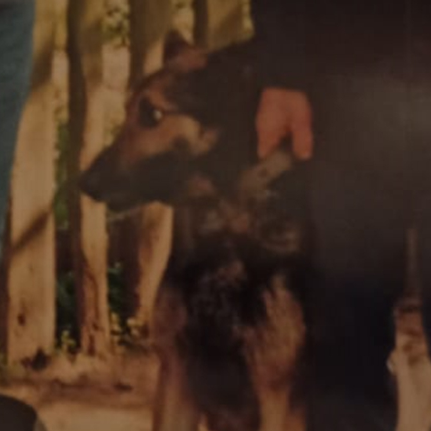 Vulcan: The Soldier Who Became a Guardian Angel