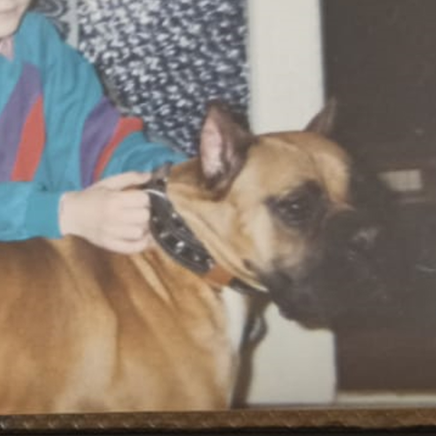 Cesar
