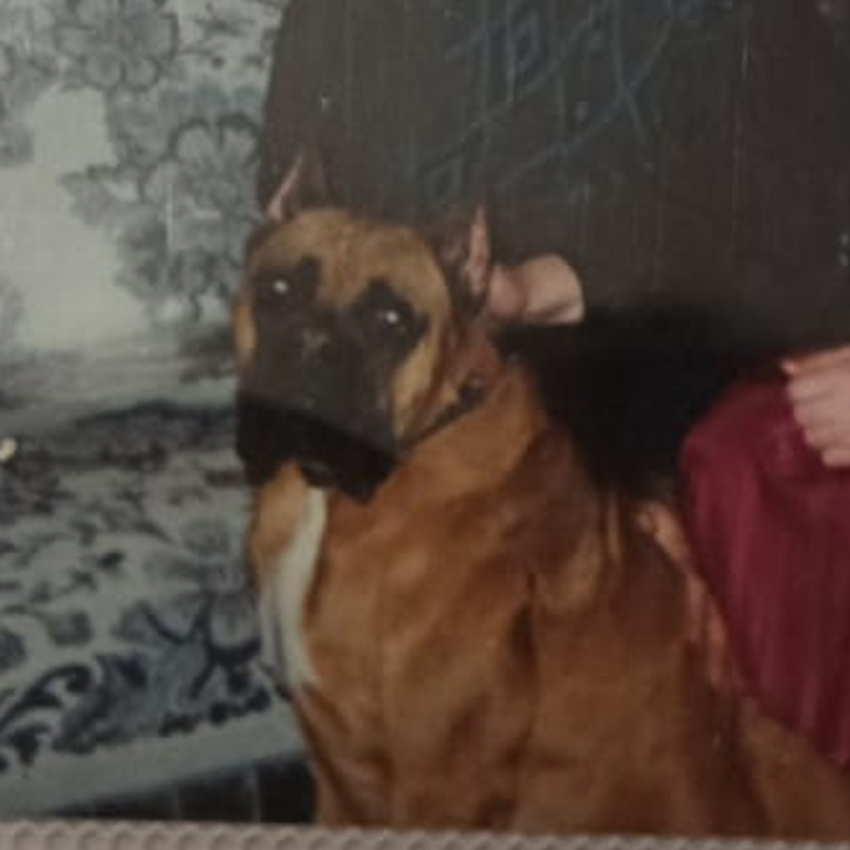 Photo of Cesar
