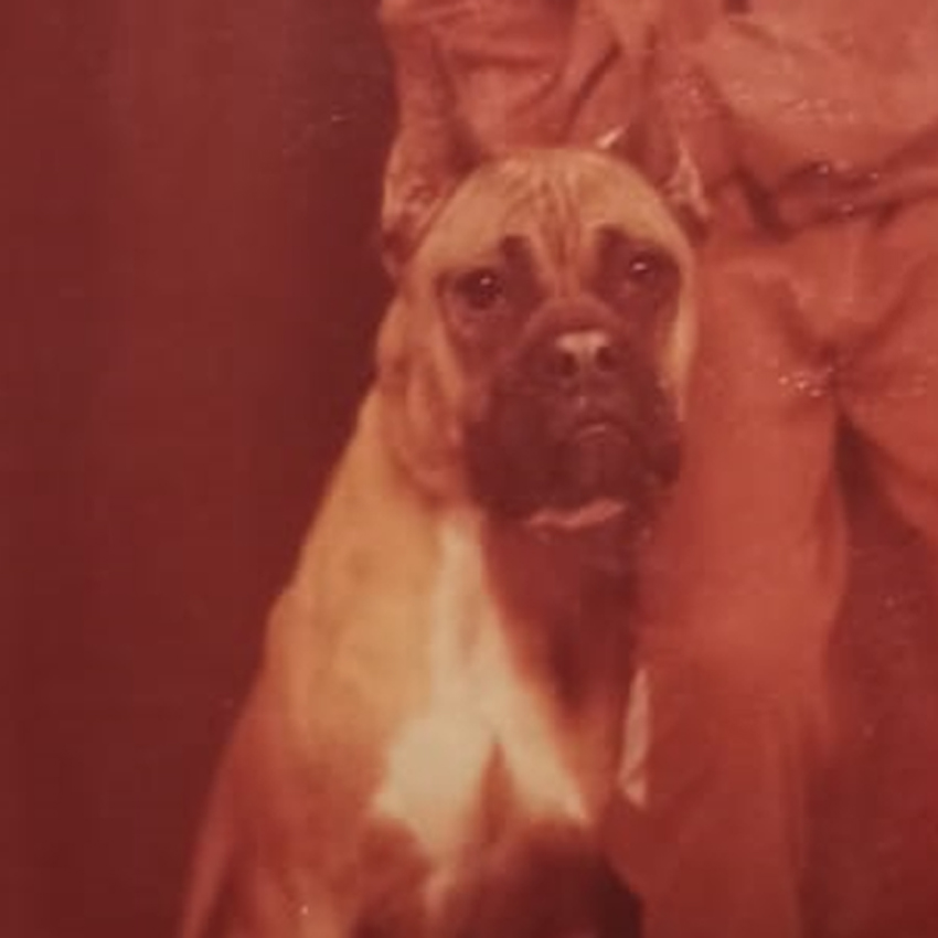 Photo of Cesar